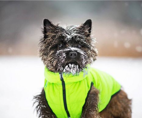 WAUDOG (Ваудог) AiryVest - Двусторонняя курточка для собак (салатовая/черная) XS22 (20-22 см)