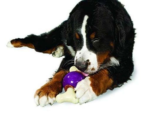 Premier (Преміер) Bouncy Bone - Суперміцна іграшка-годівниця для собак S
