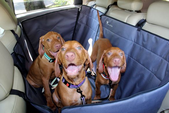 Haustier (Хаустієр) Happy Travel - Автогамак - Трансформер для Собак на заднє сидіння автомобіля з захистом дверей, сірий