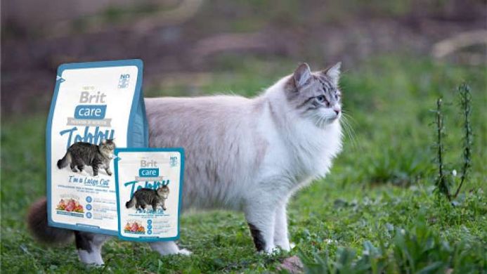 Brit Care (Брит Кеа) Cat Tobby - Сухой корм с уткой и курицей для взрослых кошек крупных пород 400 г