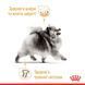 Royal Canin (Роял Канин) Pomeranian Loaf &ndash; Влажный корм с мясом для взрослых собак породы Померанский шпиц (паштет), 85 г