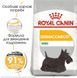 Royal Canin (Роял Канин) Mini Dermacomfort - Сухой корм для собак с чувствительной кожей, склонной к раздражениям и зуду, 2,4 кг +600 г