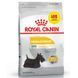 Royal Canin (Роял Канин) Mini Dermacomfort - Сухой корм для собак с чувствительной кожей, склонной к раздражениям и зуду, 2,4 кг +600 г