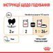 Royal Canin (Роял Канин) Pomeranian Loaf &ndash; Влажный корм с мясом для взрослых собак породы Померанский шпиц (паштет), 85 г
