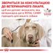 Royal Canin (Роял Канин) Urinary U/C - Сухой корм для собак при заболеваниях мочевыделительной системы 2 кг