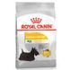 Royal Canin (Роял Канин) Mini Dermacomfort - Сухой корм для собак с чувствительной кожей, склонной к раздражениям и зуду, 2,4 кг +600 г