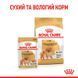 Royal Canin (Роял Канин) Pomeranian Loaf &ndash; Влажный корм с мясом для взрослых собак породы Померанский шпиц (паштет), 85 г