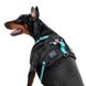 Collar (Колар) WAUDOG Nylon - Шлей для собак безпечний з QR паспортом, металева пряжка-фастекс, блакитна, розмір S