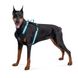 Collar (Коллар) WAUDOG Nylon - Шлея для собак безпасная с QR паспортом, металлическая пряжка-фастекс, голубая, размер S