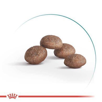 Royal Canin (Роял Канин) Ageing 11+ Sterilised - Сухой корм с птицей для стерилизованных/кастрированных кошек в возрасте от 11 лет, 2 кг