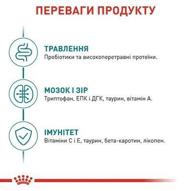 Royal Canin (Роял Канин) Ageing 11+ Sterilised - Сухой корм с птицей для стерилизованных/кастрированных кошек в возрасте от 11 лет, 2 кг