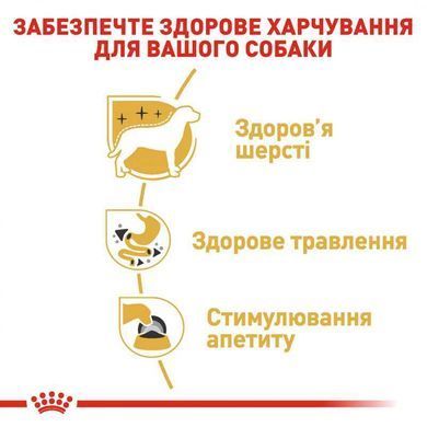 Royal Canin (Роял Канін) Chihuahua Adult - Вологий корм для дорослих собак породи Чіхуахуа (паштет), 85 г