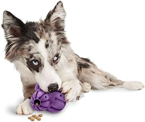 PetSafe (ПетСейф) Barnacle - Суперпрочная игрушка - лакомство для собак S