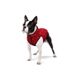 WAUDOG (Ваудог) WAUDOG Clothes - Курточка для собак с рисунком "Супермен червоний" XS22 (20-22 см)