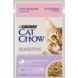 Cat Chow (Кет Чау) Sensitive &ndash; Вологий корм з лососем та цукіні для котів з чутливим травленням (шматочки в желе) 85 г
