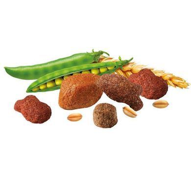Brekkies Dog Delice Fish - Сухий корм з рибою для дорослих собак усіх порід, 2,7 кг