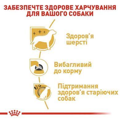 Royal Canin (Роял Канин) Yorkshire Terrier Adult - Сухой корм для взрослых собак породы Йоркширский Терьер, 500 г