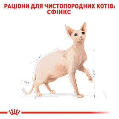 Royal Canin (Роял Канін) Sphynx Adult - Сухий корм з птицею для дорослих котів породи Сфінкс 400 г