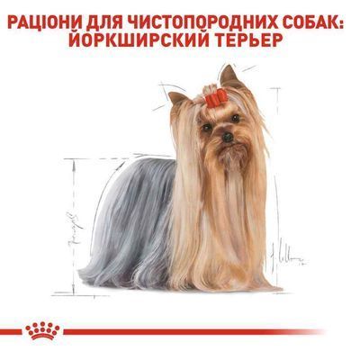Royal Canin (Роял Канин) Yorkshire Terrier Adult - Сухой корм для взрослых собак породы Йоркширский Терьер, 500 г