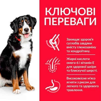 Hill's (Хиллс) Science Plan Adult Large with Lamb&Rice - Сухой корм с ягненком и рисом для взрослых собак крупных пород, 14 кг