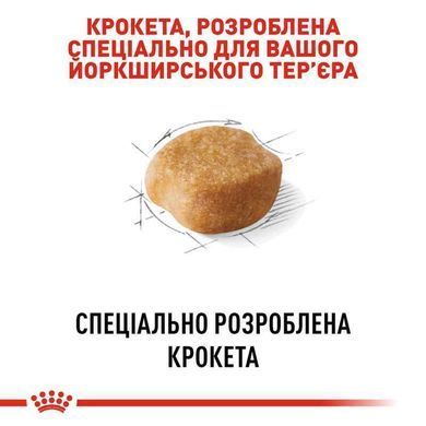 Royal Canin (Роял Канин) Yorkshire Terrier Adult - Сухой корм для взрослых собак породы Йоркширский Терьер, 500 г