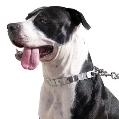 Sprenger (Шпренгер) NECK-TECH FUN - Строгий нашийник для собак, пластинчастий, з циліндричним карабіном 48 см