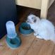 Stefanplast (Стефанпласт) Chic Bowl - Миска пластиковая для собак и котов с противоскользящим ободком 350 мл Изумруд