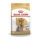Royal Canin (Роял Канин) Yorkshire Terrier Adult - Сухой корм для взрослых собак породы Йоркширский Терьер, 500 г
