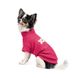 Pet Fashion (Пет Фешн) Flower - Свитер для собак (малиновый) XXS (20-22 см)