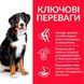 Hill's (Хиллс) Science Plan Adult Large with Lamb&Rice - Сухой корм с ягненком и рисом для взрослых собак крупных пород, 14 кг
