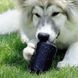 SodaPup (Сода Пап) Sp Puppy Can Toy &ndash; Игрушка-диспенсер для лакомств Жестяная Банка из суперпрочного материала для собак, Черный, M