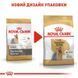 Royal Canin (Роял Канин) Yorkshire Terrier Adult - Сухой корм для взрослых собак породы Йоркширский Терьер, 500 г