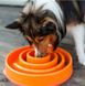 Outward Hound (Аутвард Хаунд) Fun Feeder Slo-Bowl Swirl - Неслизька миска-лабіринт Вир для повільного годування собак M Помаранчевий
