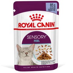 Royal Canin (Роял Канін) Sensory Feel in Jelly – Вологий корм з м'ясом для дорослих котів, що стимулює дотикові рецептори ротової порожнини (шматочки в желе) 85 г