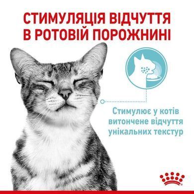 Royal Canin (Роял Канин) Sensory Feel in Jelly &ndash; Влажный корм с мясом для взрослых кошек, стимулирующий осязательные рецепторы ротовой полости (кусочки в желе) 85 г