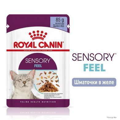 Royal Canin (Роял Канин) Sensory Feel in Jelly &ndash; Влажный корм с мясом для взрослых кошек, стимулирующий осязательные рецепторы ротовой полости (кусочки в желе) 85 г