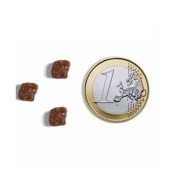 Ambrosia (Амброзія) Grain Free - Сухий беззерновий корм зі свіжою індичкою та куркою для кошенят, 1.5 кг