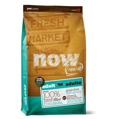 NOW FRESH ™ (Нау Фреш) Adult Large Breed Recipe Grain Free - Сухий беззерновий корм з індичкою, качкою та лососем для дорослих собак великих порід 11,34 кг