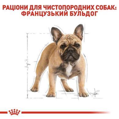 Royal Canin (Роял Канин) French Bulldog 26 Adult - Сухой корм для взрослых Французских Бульдогов, 1,2 кг + 300 г