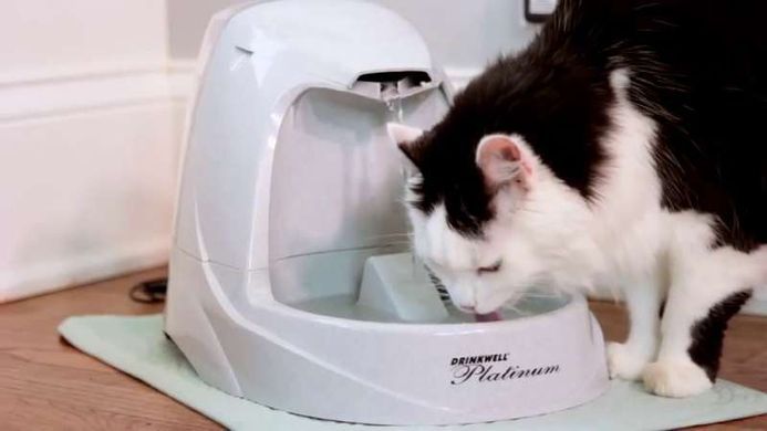 PetSafe (ПетСейф) Drinkwell Platinum Pet Fountain - Автоматичний фонтанчик - поїлка для собак 5 л
