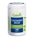 Canvit (Канвит) Chondro Maxi - Комплексная добавка для укрепления костей, суставов и сухожилий собак весом более 25 кг 230 г (76 шт.)