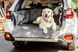 HARLEY & CHO (Харли энд Чо) Saver - Автогамак для собак в багажник