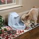 PetSafe (ПетСейф) Drinkwell Platinum Pet Fountain - Автоматический фонтанчик - поилка для собак 5 л