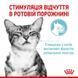 Royal Canin (Роял Канин) Sensory Feel in Jelly &ndash; Влажный корм с мясом для взрослых кошек, стимулирующий осязательные рецепторы ротовой полости (кусочки в желе) 85 г