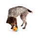 West Paw (Вест Пау) Toppl Treat Toy - Іграшка для ласощів для собак, Блакитний, 10 см