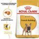 Royal Canin (Роял Канин) French Bulldog 26 Adult - Сухой корм для взрослых Французских Бульдогов, 1,2 кг + 300 г
