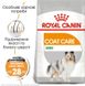Royal Canin (Роял Канін) Mini Coat Care - Сухий корм для собак малих порід з тьмяною і сухою шерстю 1 кг