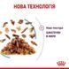 Royal Canin (Роял Канин) Sensory Feel in Jelly &ndash; Влажный корм с мясом для взрослых кошек, стимулирующий осязательные рецепторы ротовой полости (кусочки в желе) 85 г
