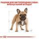 Royal Canin (Роял Канин) French Bulldog 26 Adult - Сухой корм для взрослых Французских Бульдогов, 1,2 кг + 300 г