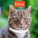 Hartz (Хартц) Ultra Guard PLUS Flea&Tick Collar Cats and Kittens - Светоотражающий ошейник от блох и клещей для кошек и котят с 12 недель 15х0,3х9,7 см Белый